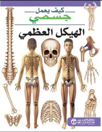 كيف يعمل جسمي الهيكل العظمي