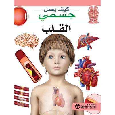 كيف يعمل جسمي القلب